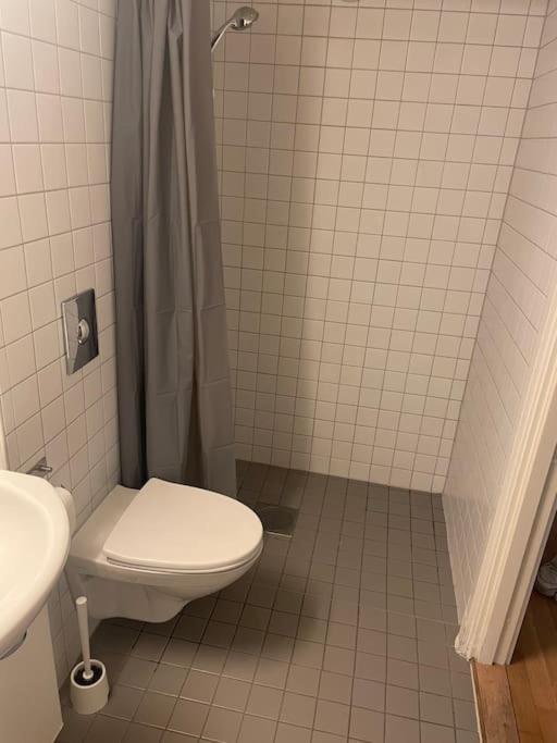 Midt I Sentrum 2 Soverom Og Stue Apartment *