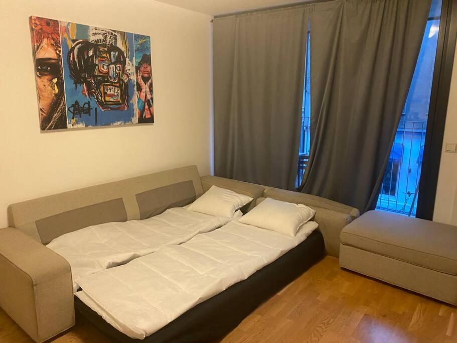 Midt I Sentrum 2 Soverom Og Stue